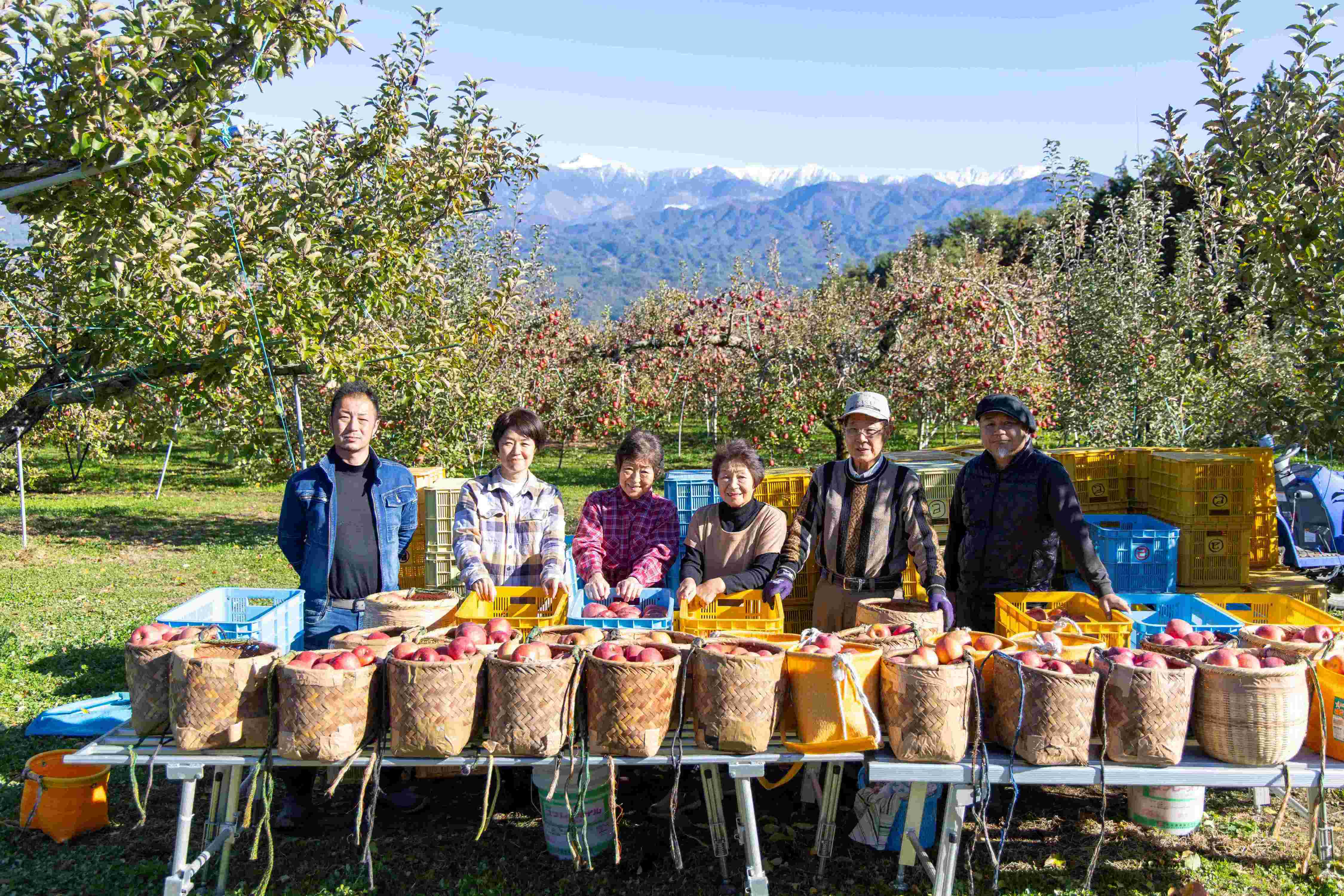 北城農園プレミアムドライアップル（25g×6袋) 長野県 信州 南信州 高森町 りんご ドライフルーツ シナノスイート シナノゴールド サンふじ おやつ おつまみ 朝食 小袋 ポケットサイズ 北城農園