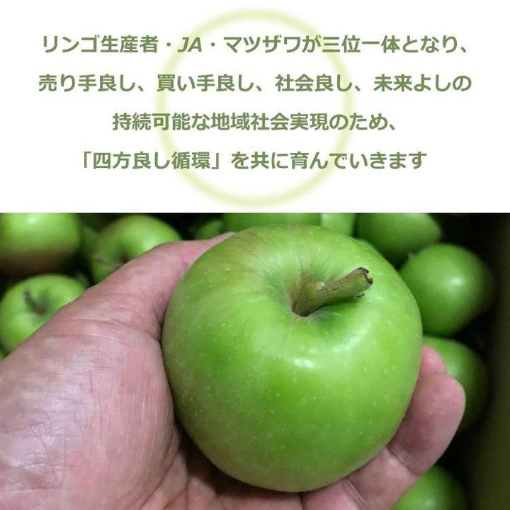 さわやか青りんご 30g×10袋 長野県 信州 南信州 高森町 ソフトドライ 食べやすい おやつ お菓子 スイーツ フードロス 摘果りんご 食品ロス削減 持続可能な地域づくり 株式会社マツザワ