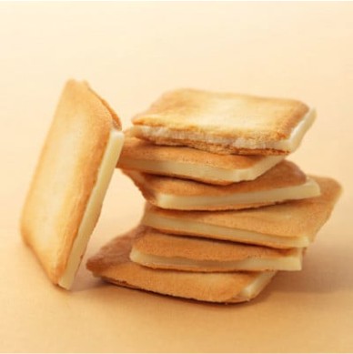 「白い針葉樹」 24枚入り×2箱セット 長野県 信州 南信州 高森町 おかし お菓子 ラングドシャ ホワイトチョコレート モンドセレクション金賞 株式会社マツザワ