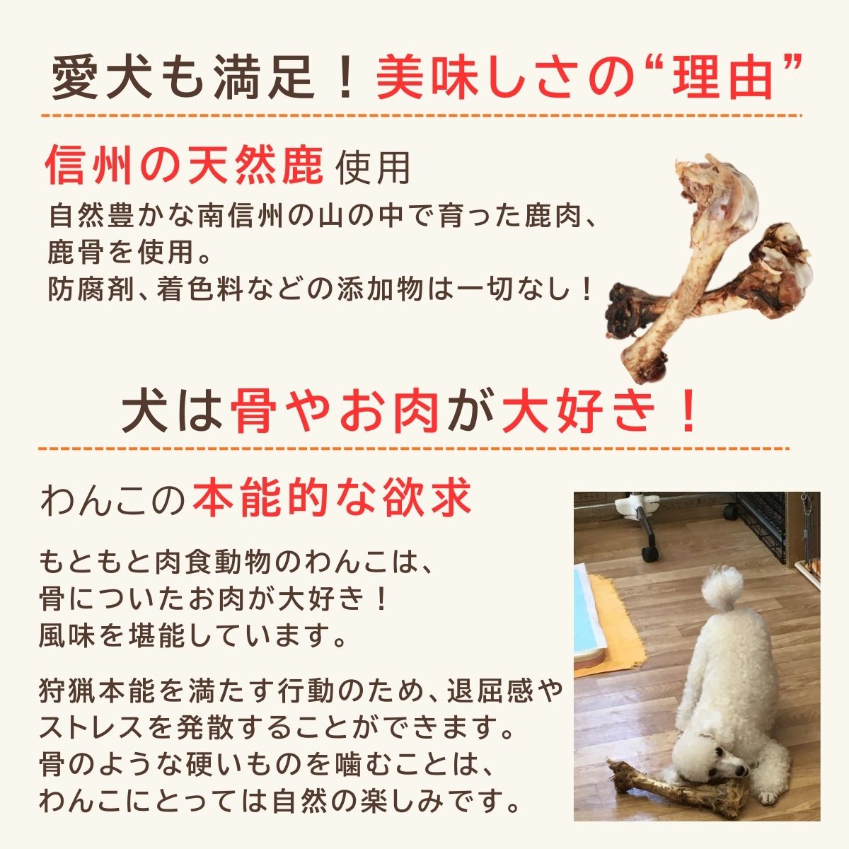 信州産 天然鹿おやつセットA