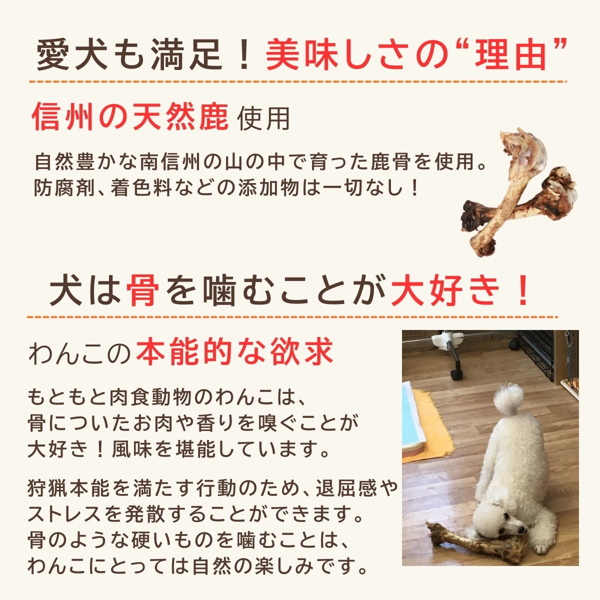 信州産天然鹿 足骨 300g