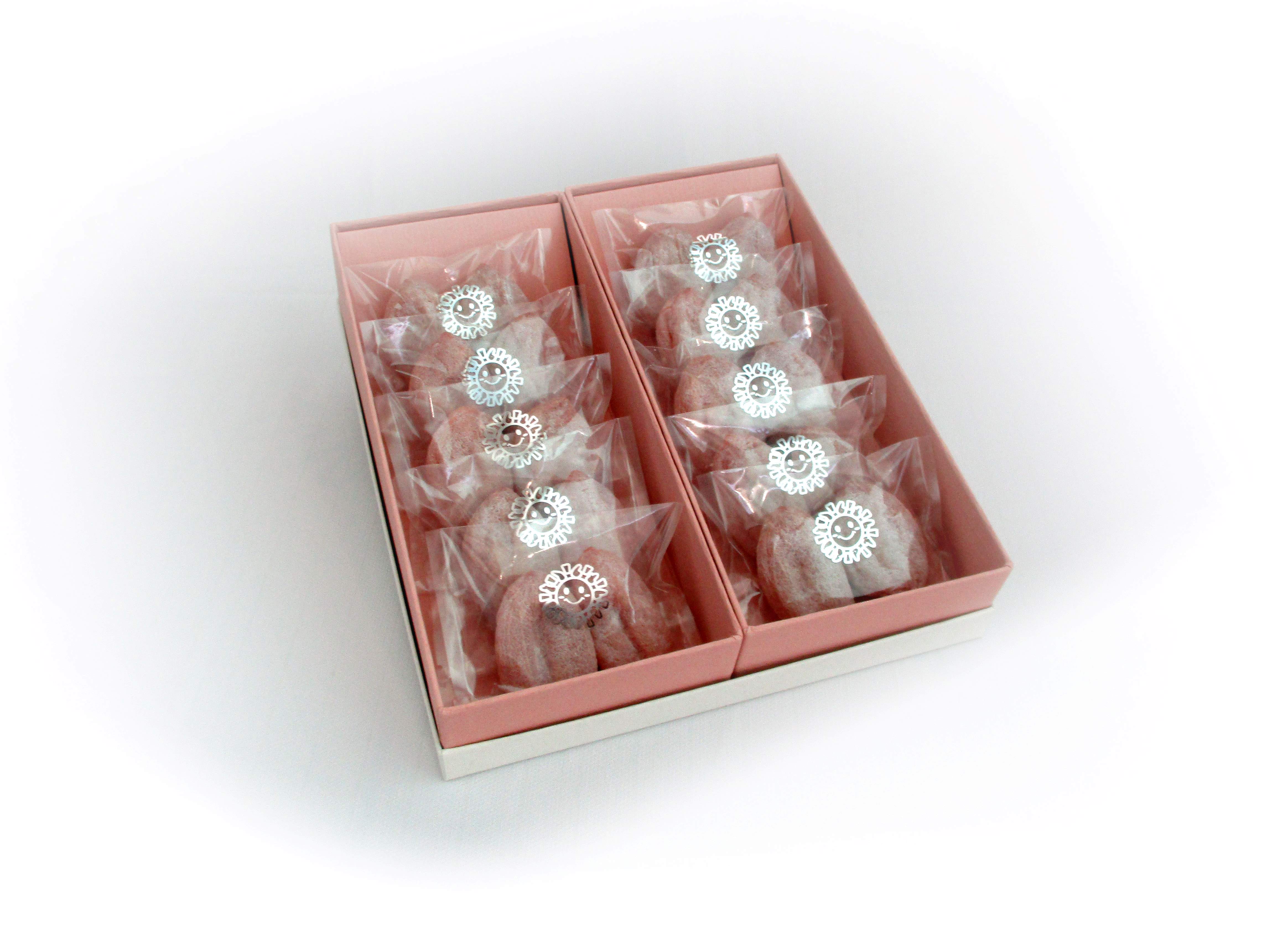 【市田柿専門店 金の柿】白箱「秀品」Lサイズ2個包装×10袋入り 2026年1月発送開始 長野県 信州 南信州 高森町 柿 干し柿 かき 高級 和菓子 お茶請け 個包装 贈答 プレゼント ギフト ドライフルーツ 自然食品 アグリスタくましろ