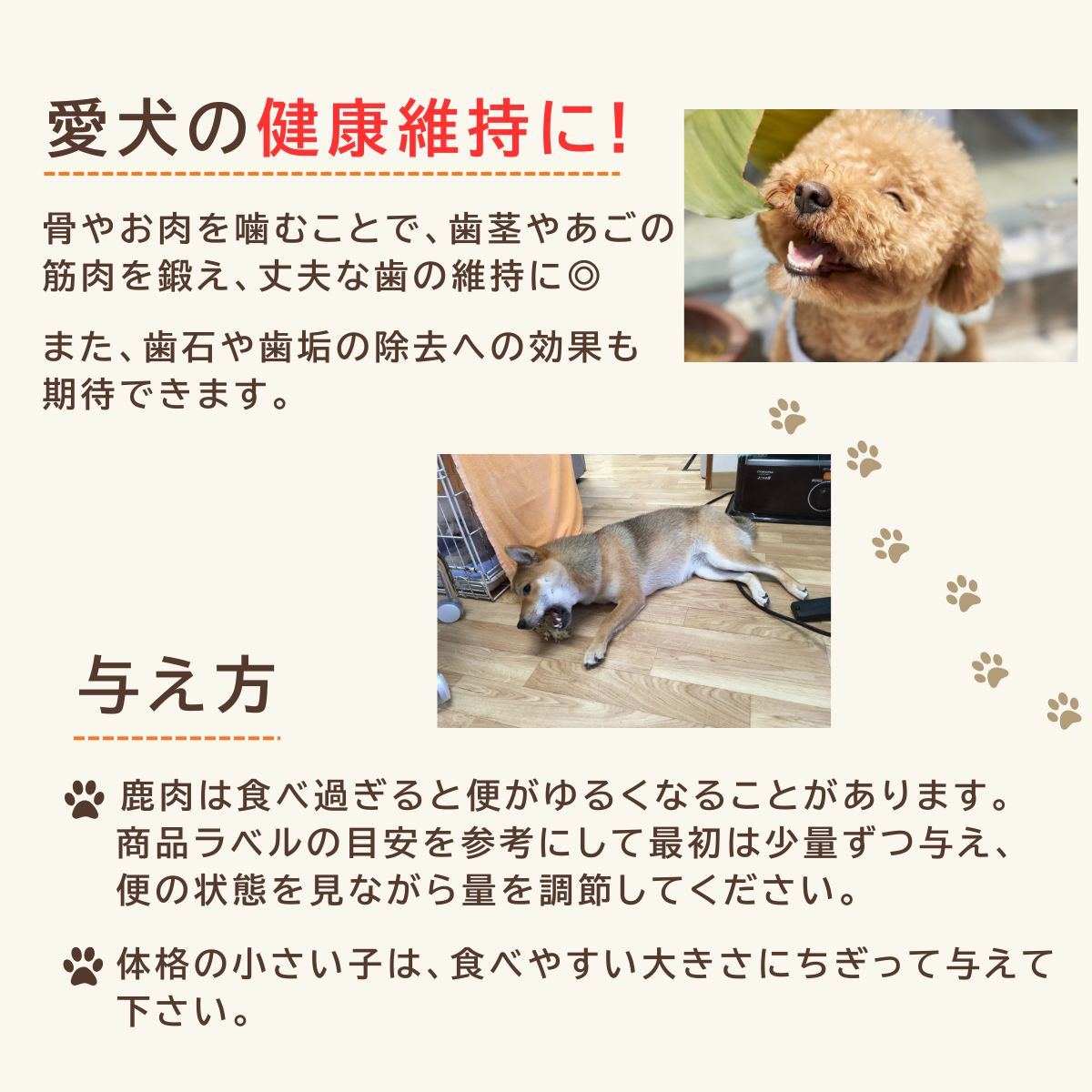 信州産 天然鹿おやつセットA