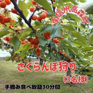 【南信州高森町】さくらんぼ狩り(3名様)