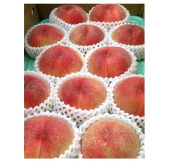 【R8年分 先行受付】長野県高森町産 桃(あかつき) 約5kg ＜2026年7月下旬発送＞ 信州 南信州 農家直送 果物 くだもの もも モモ 旬 旬の果物 旬の桃 鮮度抜群  完熟 やまやす中島農園