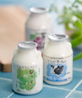 いちだヨーグルト 3種類のむヨーグルト詰め合わせ！150ml×18本セット 長野県 信州 南信州 高森町 乳製品 ヨーグルト 飲むヨーグルト 巨峰 シャインマスカット シャイン 信州市田酪農本セット