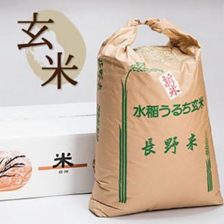 2025年産【南信州高森産】コシヒカリ玄米30kg 長野県 信州 米 コメ 農事組合法人フクロウ