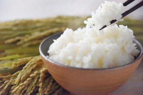 【南信州高森産】2023年産 風さやか”KAZESAYAKA”(精米)10kg 長野県 信州 米 コメ ＧＯＭＥＳ・ＤＵＡＲＴＥ・ＪＯＳＥ