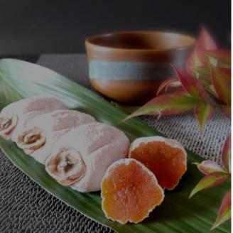 【南信州高森産】市田柿発祥の里 高森町の「市田柿」(L～2Lサイズ) 400g×2袋 12月上旬より発送開始 長野県 信州 柿 干し柿 ドライフルーツ お茶請け 高級 和菓子 スイーツ 自然食品 ご家庭用 宮下農園