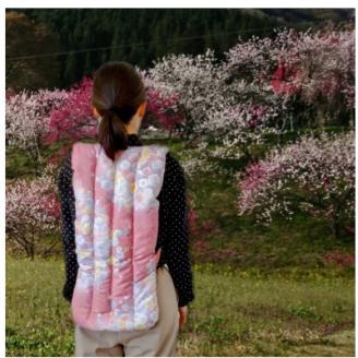 【南信州高森町】高級袖無し半てん「真綿ねこ」(女性用)