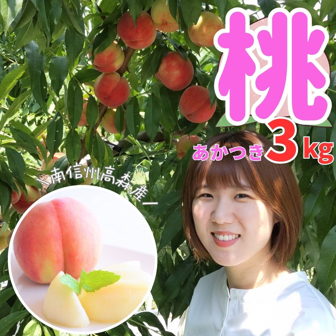 桃 あかつき 3kg（7～10個）2026年7月下旬より発送 長野県 信州 南信州 高森町 農家直送 果物 くだもの もも モモ 旬 旬の果物 旬の桃 完熟収穫 ともの谷農園