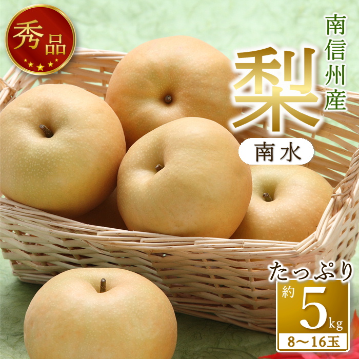 【南信州産】梨「南水」秀品 約5kg（8玉～16玉） 2026年9月中旬より発送 長野県 信州 高森町 産地直送 果物 くだもの なし ナシ 和梨 旬 旬の果物 旬の梨 なんすい ギフト 贈答 JAみなみ信州