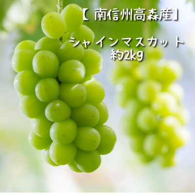 【南信州高森産】シャインマスカット1.2kg＜2026年9月中旬より発送＞ 長野県 信州 農家直送 果物 くだもの ぶどう 旬のぶどう シャイン 山吹ぶどう狩り組合