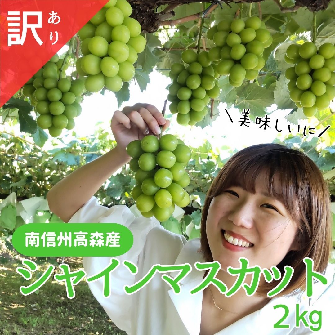 シャインマスカット 訳あり２kg（3～6房）9月下旬より発送 長野県 信州 南信州 高森町 農家直送 果物 くだもの ぶどう 旬のぶどう シャイン ご家庭用 ともの谷農園
