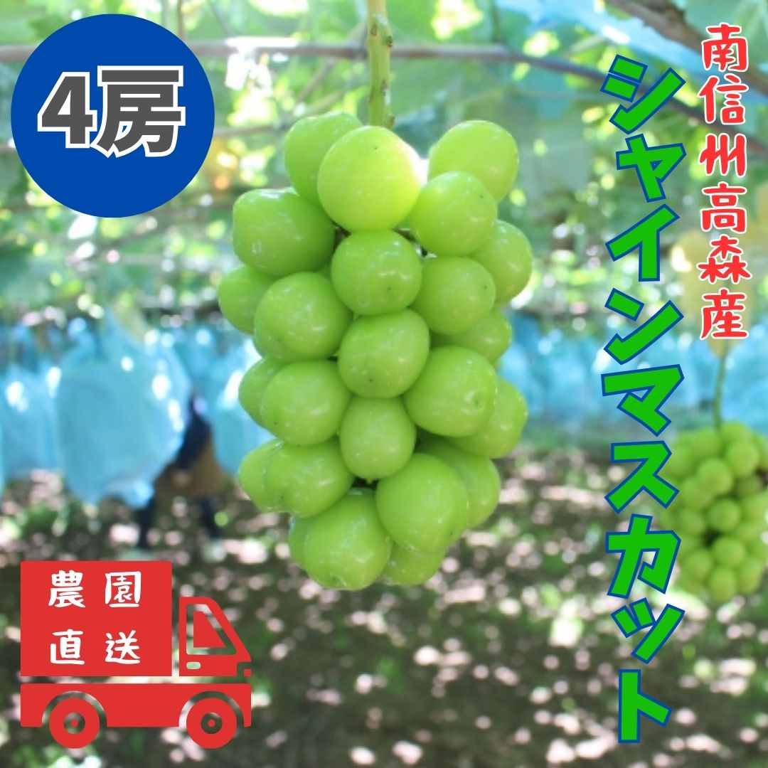 【南信州高森産】シャインマスカット 4房 長野県 信州 農家直送 果物 くだもの ぶどう 旬のぶどう シャイン 鶴屋農園