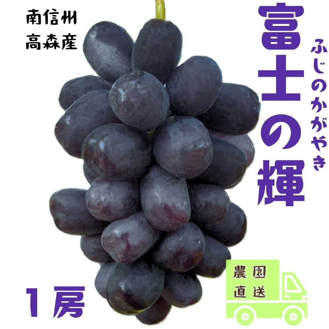【南信州高森産】希少ぶどう 富士の輝 1房 長野県 信州 農家直送 果物 くだもの ぶどう 旬のぶどう 鶴屋農園