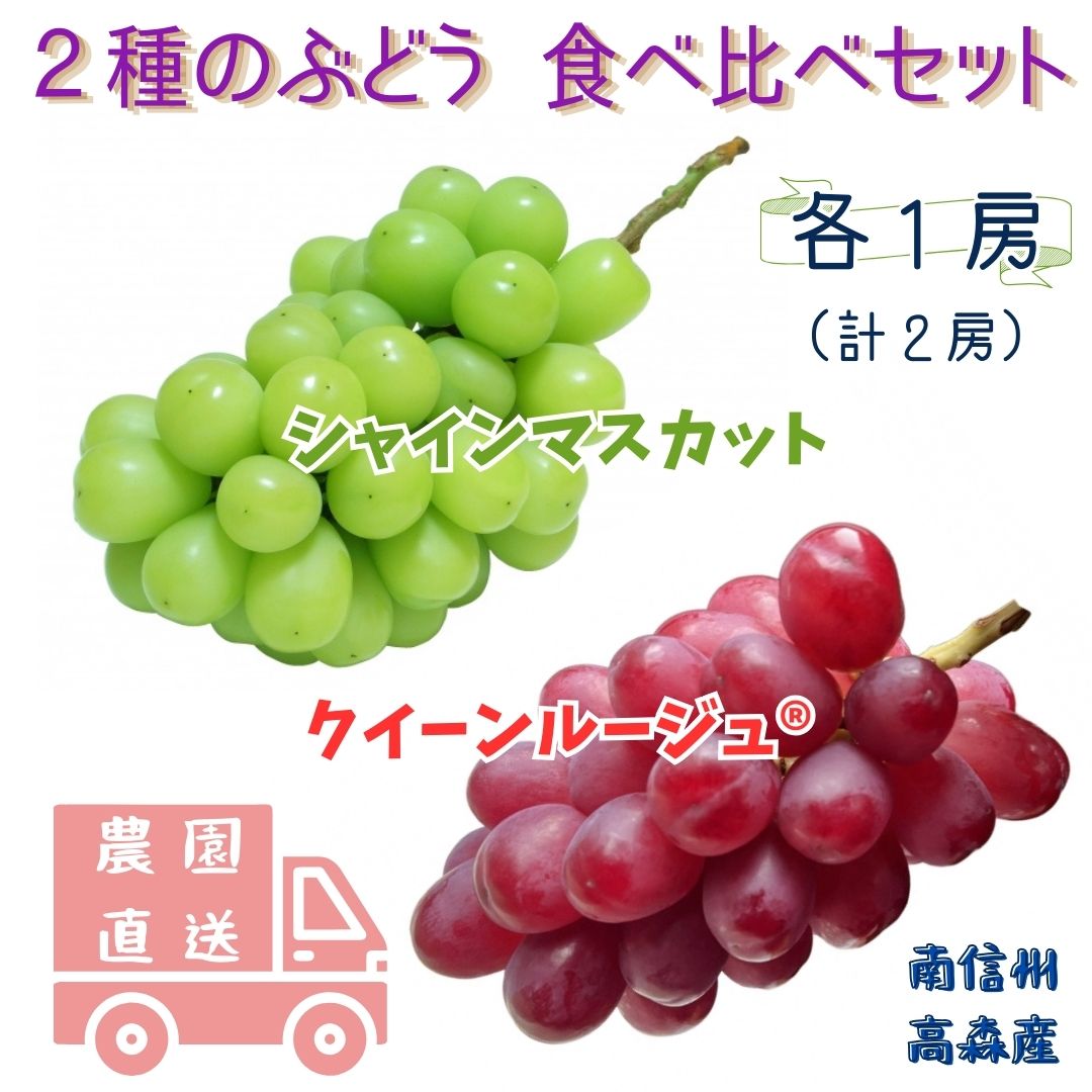 【数量限定】2種のぶどう(シャインマスカット・クイーンルージュ(R))食べ比べセット 計2房 長野県 信州 南信州 高森町 農家直送 果物 くだもの ぶどう 旬のぶどう 鶴屋農園