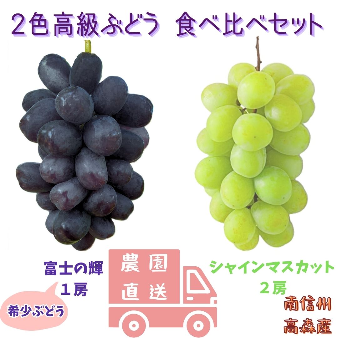 【数量限定】2色高級ぶどう(シャインマスカット、富士の輝)食べ比べセット　長野県 信州 南信州 高森町 農家直送 果物 くだもの ぶどう 旬のぶどう ぶどうセット 鶴屋農園