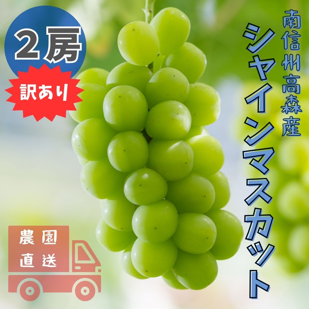 【南信州高森産】訳ありシャインマスカット 2房 長野県 信州 農家直送 果物 くだもの ぶどう 旬のぶどう ご家庭用 鶴屋農園