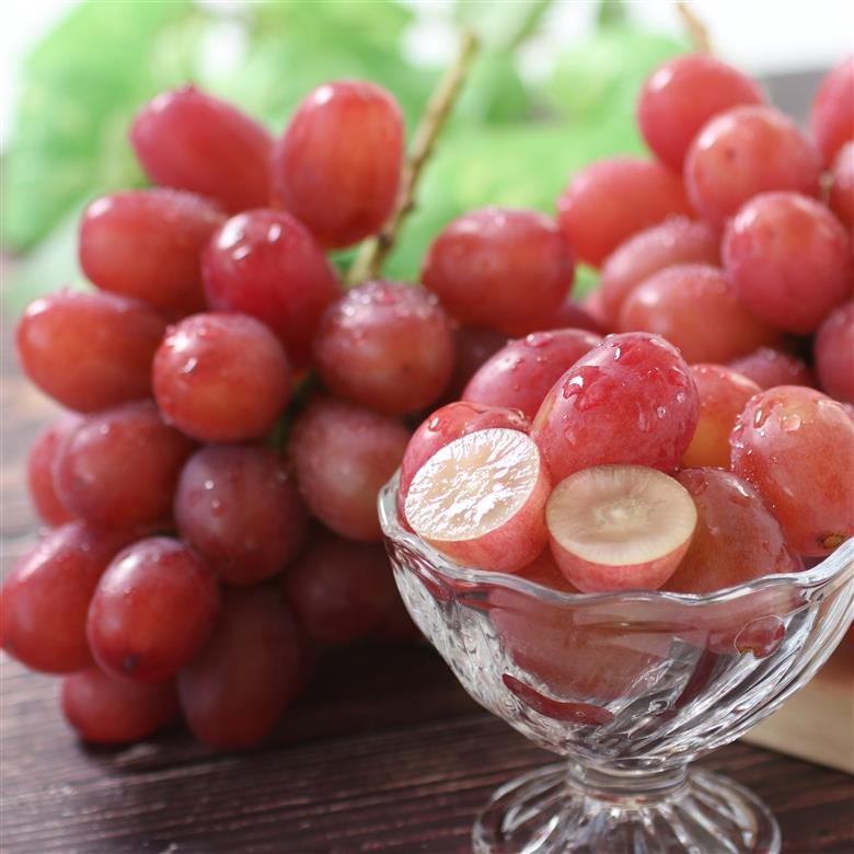 【産地厳選!】長野県産・クイーンルージュ（約1kg）秀品 2026年10月中旬より発送 信州 南信州 高森町 産地直送 果物 くだもの ぶどう 旬のぶどう 山下屋荘介