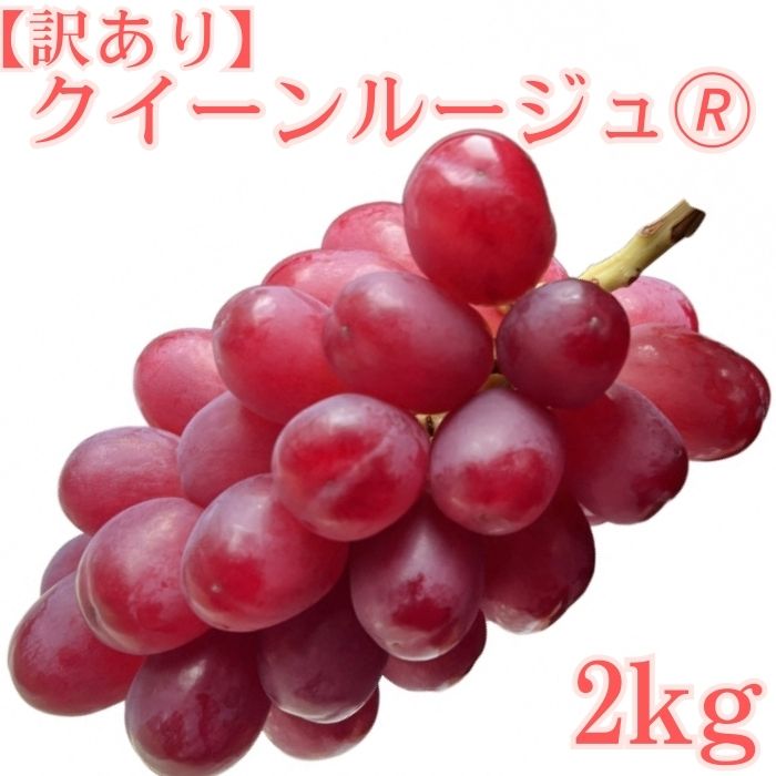 【訳あり】クイーンルージュ(R)2kg＜2026年8月下旬より発送＞