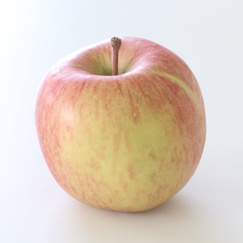 【訳あり品】 長野県産・サンふじ (約5kg)  2026年1月上旬より発送 信州 南信州 高森町 産地直送 果物 くだもの 旬のりんご ご家庭用 山下屋荘介