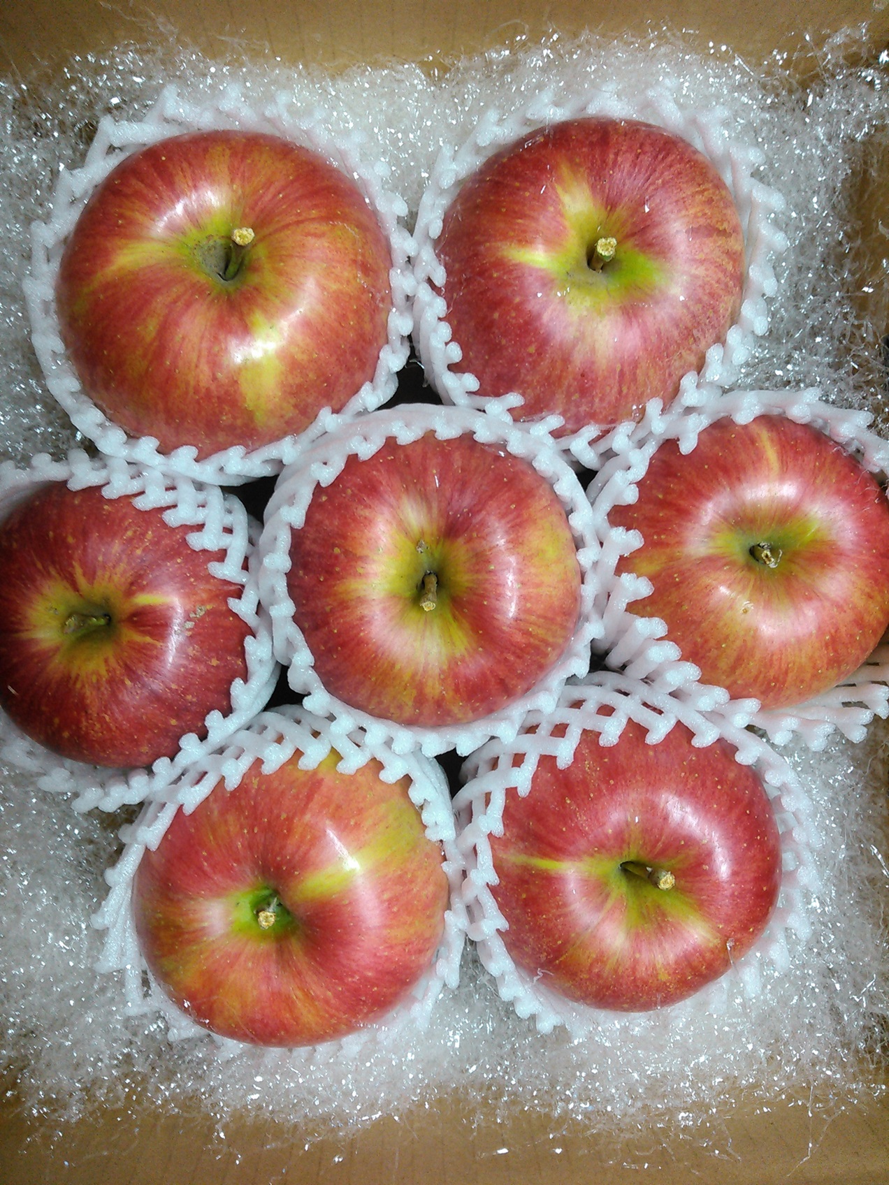 リンゴ シナノスイート 大玉 7～8個 長野県 信州 南信州 高森町 果物 くだもの 旬 旬の果物 旬のりんご ピアブランカ