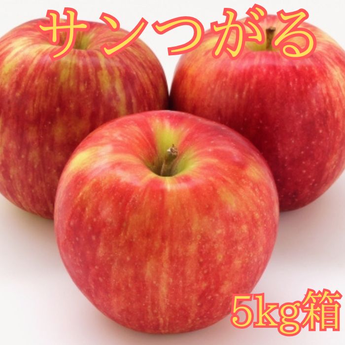 サンつがる 5kg箱＜8月下旬より発送＞ 長野県 南信州 高森町 りんご