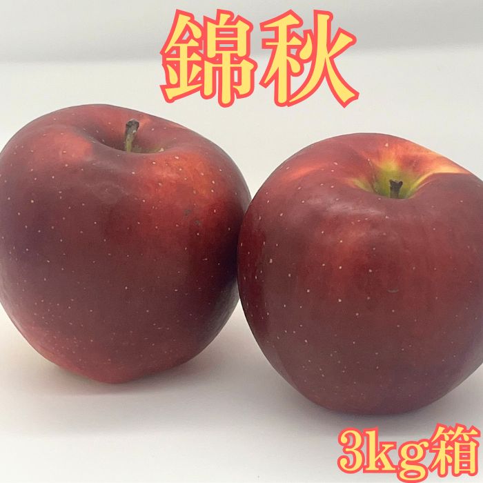 錦秋(きんしゅう) 3kg箱 ＜9月下旬より発送＞ 長野県 南信州 高森町 りんご