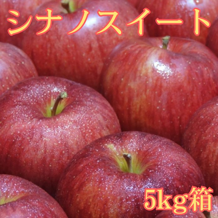 シナノスイート 5kg箱 ＜10月中旬より発送＞ 長野県 南信州 高森町 りんご