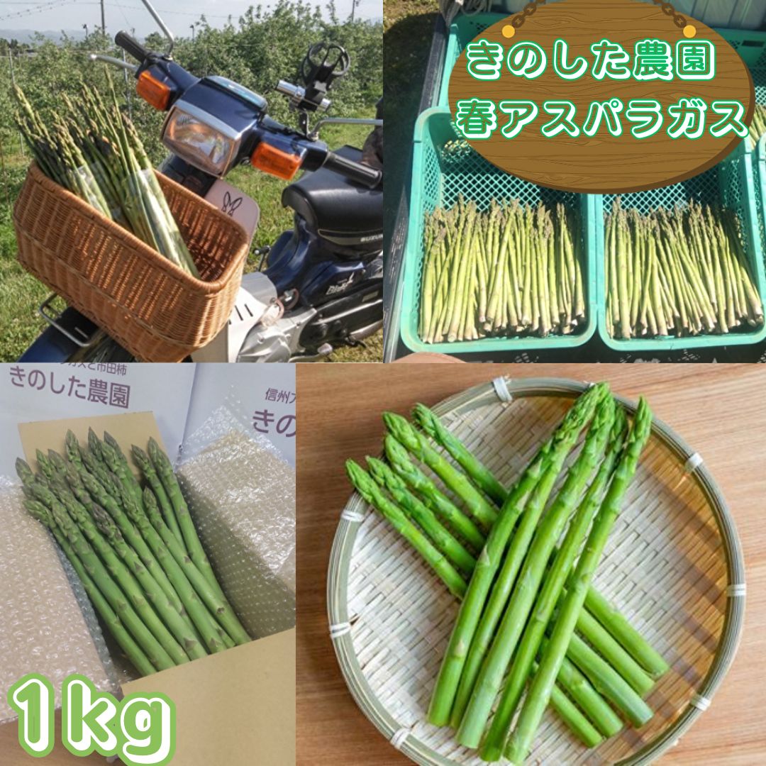 きのした農園の春アスパラガス 4月中旬より発送開始 長野県 信州 南信州 高森町 春の味覚 春の野菜 やさい