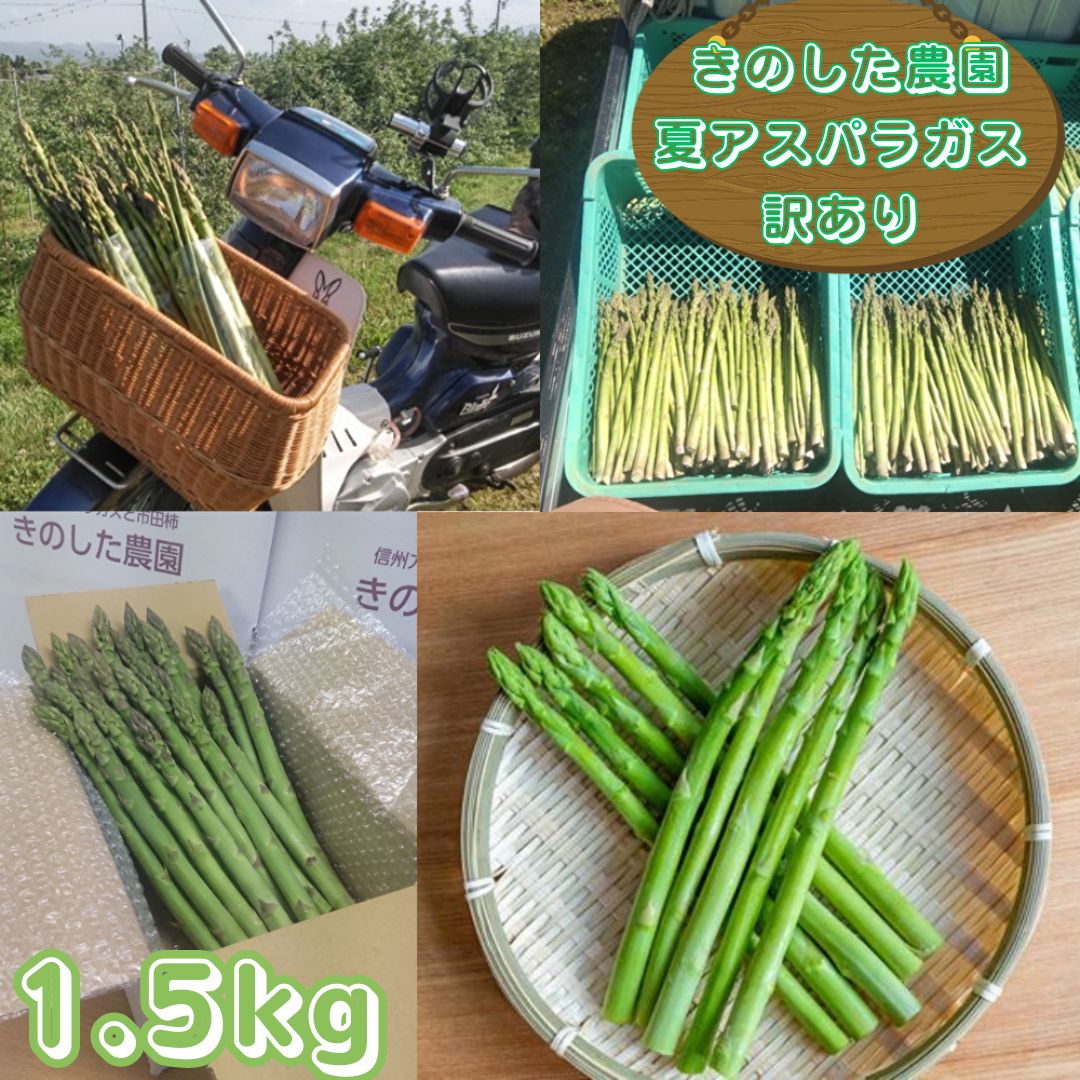 きのした農園の訳あり夏アスパラガス 7月初旬より発送開始 長野県 信州 南信州 高森町 夏の味覚 夏の野菜 やさい ご家庭用