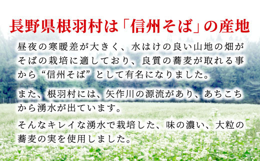 南信州根羽村産 本格そば焼酎 「根羽乃華」 25度 720ml 2本