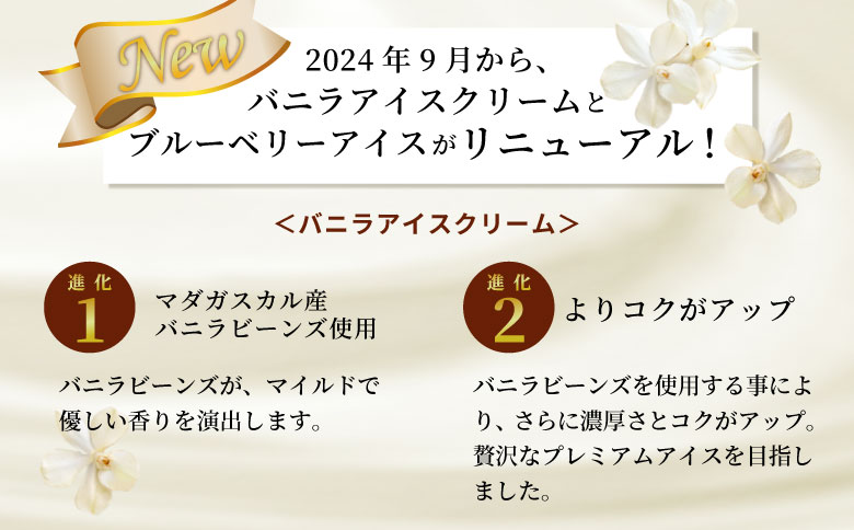  マダガスカル産バニラビーンズ香る❁バニラアイスクリーム & いなぶのブルーベリーアイス　(80ml)×16個セット