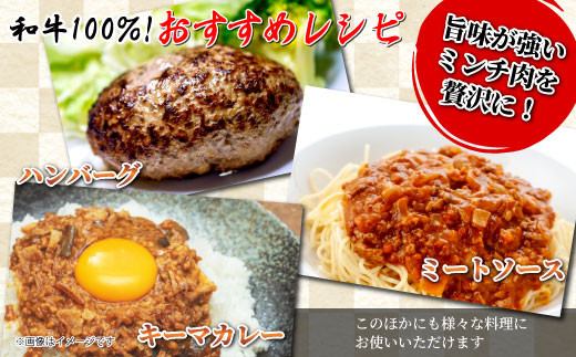 国産黒毛和牛 ハンバーグに大人気！ミンチ 1kg（500g×２）根羽こだわり和牛 和牛 黒毛和牛 牛肉 肉 ハンバーグ