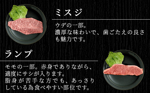 国産黒毛和牛 ステーキセット 500ｇ以上 希少部位 ミスジ ランプ トモサンカク カイノミ ザブトン 根羽こだわり和牛 ステーキ おすすめ 霜降り