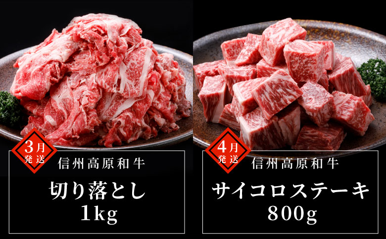 毎年大好評★【全10回 定期便】PREMIUM定期便限定★シャトーブリアン 赤身ステーキ入り プレミアム 数量限定