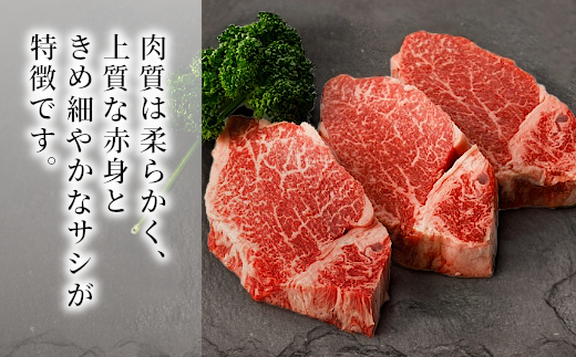 信州高原和牛 ヒレステーキ(100g×5枚)　ステーキ　希少部位　黒毛和牛