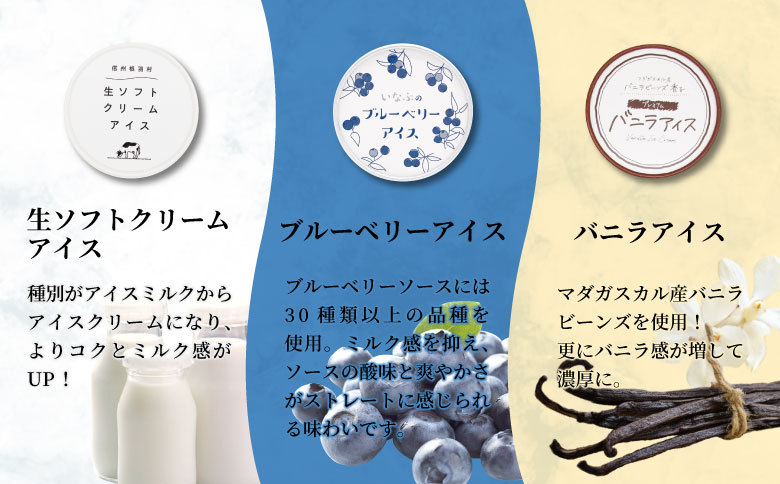 全3回★3種類のアイス定期便☆2026年1月発送～ 南信州根羽村産アイス が毎月7個届く！ 合計21個 アイス アイスクリーム 定期便 生ソフトクリームアイス バニラアイス ブルーベリー 果物 ジャム 長野県 根羽村 ソフトクリーム スイーツ 15000円 15,000円