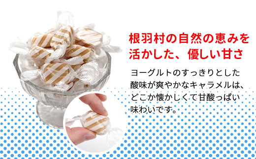 懐かしくて甘酸っぱい ヨーグルトキャラメル 4袋 ( 80g×4袋 ) キャラメル ヨーグルト 5000円