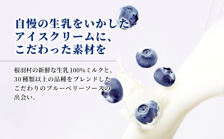 農薬・除草剤不使用！30品種をブレンドした ブルーベリー アイス(80ml)×7個入り