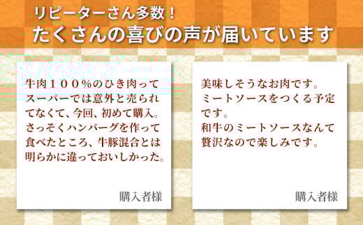 国産黒毛和牛 ハンバーグに大人気！ミンチ 1kg（500g×２）根羽こだわり和牛 和牛 黒毛和牛 牛肉 肉 ハンバーグ