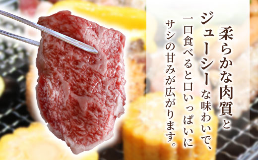 信州高原和牛　焼肉　国産黒毛和牛　800g