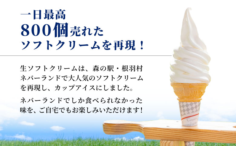 生ソフトクリームアイス＆プレミアム 西尾の抹茶アイス (80ml)×16個セット