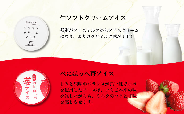 4種類のアソート A　16個入り アイスクリーム アイス 生ソフト ブルーベリー 稲武 紅ほっぺ 苺 いちご 紅ほっぺいちご 西尾抹茶 抹茶 牛乳 アイス ミルク 10000円 10,000円