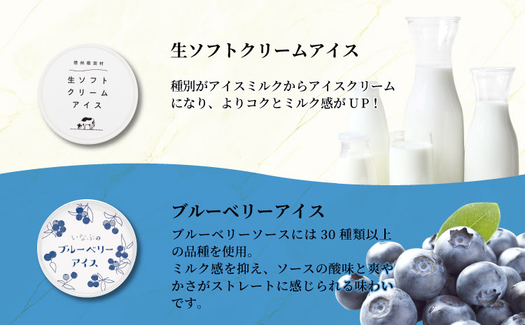 5種類のアソート A　24個入り アイスクリーム アイス 生ソフト バニラ マダガスカル産 ブルーベリー 稲武 紅ほっぺ 苺 いちご 紅ほっぺいちご 西尾抹茶 抹茶 牛乳 アイス ミルク 14000円 14,000円