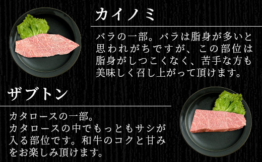 国産黒毛和牛 ステーキセット 500ｇ以上 希少部位 ミスジ ランプ トモサンカク カイノミ ザブトン 根羽こだわり和牛 ステーキ おすすめ 霜降り