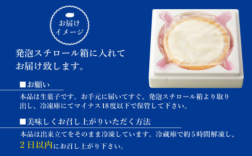 サクサククッキー生地!ヨーグルトフロマージュタルト 1箱 5号サイズ　チーズケーキ