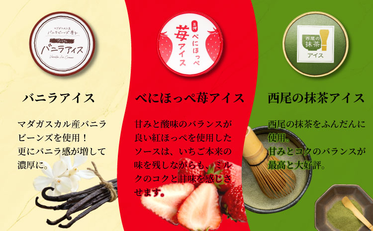 5種類のアソート A　24個入り アイスクリーム アイス 生ソフト バニラ マダガスカル産 ブルーベリー 稲武 紅ほっぺ 苺 いちご 紅ほっぺいちご 西尾抹茶 抹茶 牛乳 アイス ミルク 14000円 14,000円