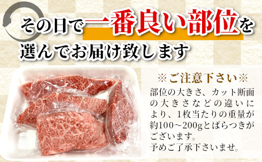国産黒毛和牛 ステーキセット 500ｇ以上 希少部位 ミスジ ランプ トモサンカク カイノミ ザブトン 根羽こだわり和牛 ステーキ おすすめ 霜降り